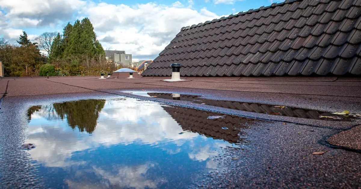 emergency repair tamworth roofing